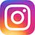 instagramIcon